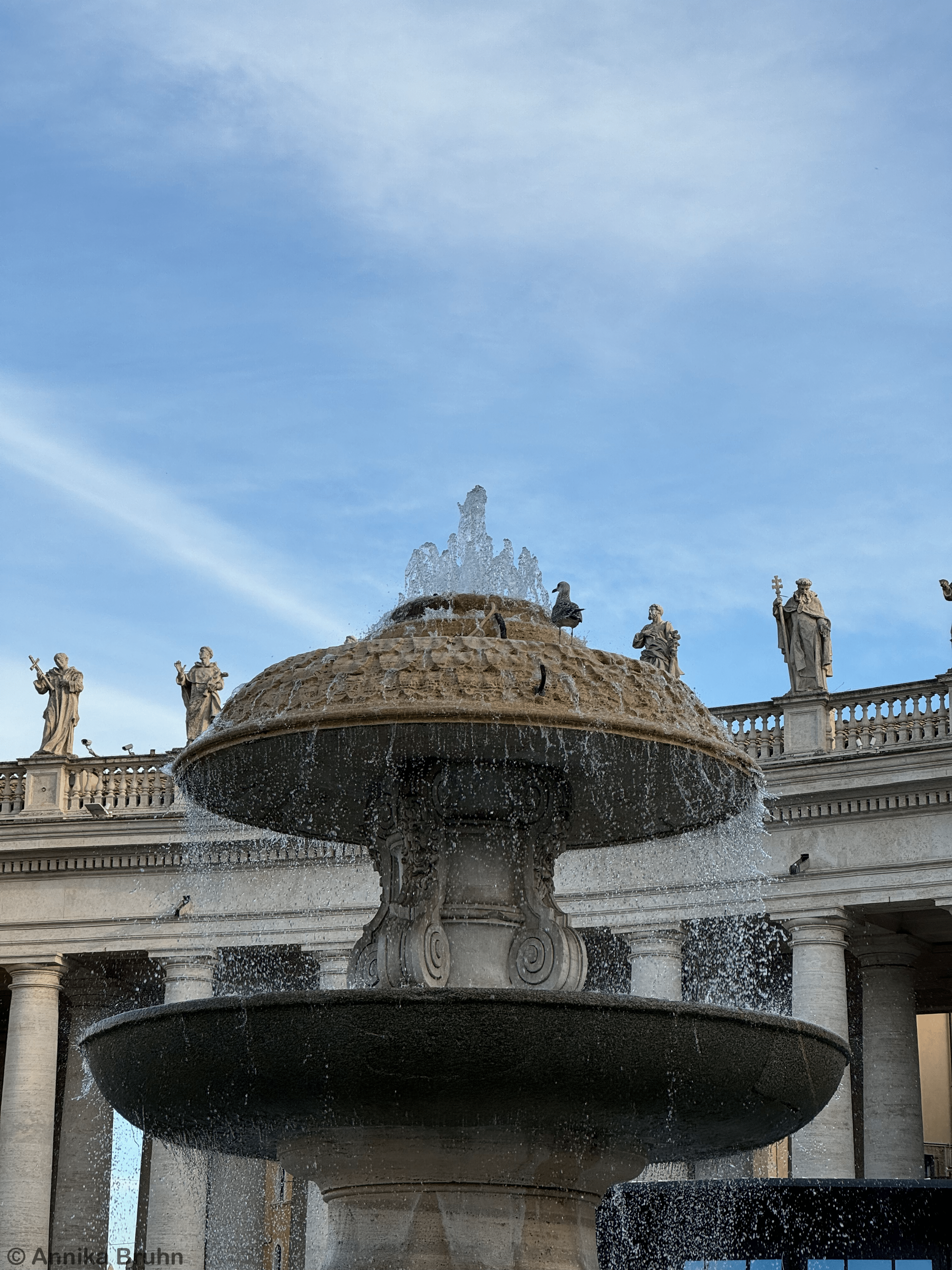 Fontane di Piazza San Pietro